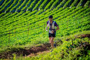 BIB: 
                            <button type="button" onclick="openModal(19160410)" class="btn btn-primary btn-sm float-right btn-popup" data-toggle="modal" data-target=".modal-high-quality">
                        <i class="fas fa-shopping-cart"></i> Add to Cart
                    </button>
                                            <button type="button" onclick="isThisMe(19160410, true)" class="btn btn-success btn-sm float-right btn-popup btn-isme hidden" data-toggle="tooltip" data-placement="bottom" title="นี่คือรูปของคุณใช่ไหม คลิกที่นี่เพื่อเอาเข้าอัลบั้ม">
                        <i class="fas fa-plus"></i> Add to album
                    </button>
                    <button type="button" onclick="isThisMe(19160410, false)" class="btn btn-warning btn-sm float-right btn-popup btn-isnotme hidden">
                        <i class="fas fa-ban"></i> Remove from album
                    </button>